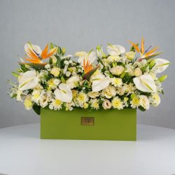 باکس گل B380 - Image 7