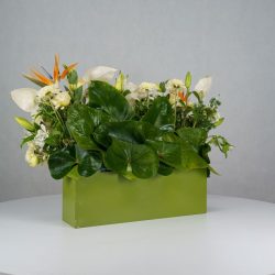 باکس گل B380 - Image 25