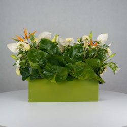 باکس گل B380 - Image 27