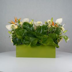 باکس گل B380 - Image 28