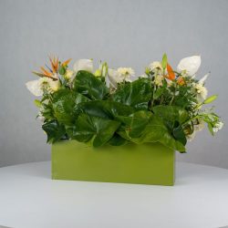 باکس گل B380 - Image 29