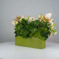 باکس گل B380 - Image 30