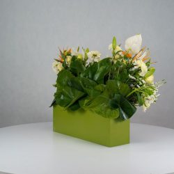 باکس گل B380 - Image 31