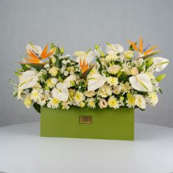 باکس گل B380 - Image 8