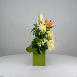 باکس گل B380 - Image 35