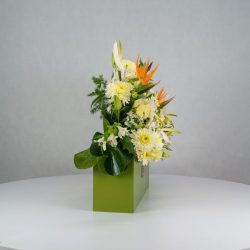 باکس گل B380 - Image 36