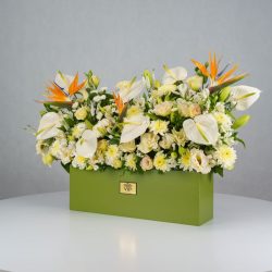 باکس گل B380 - Image 11