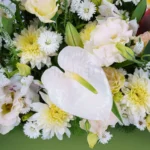 باکس گل زیبای شماره ۳۸۰