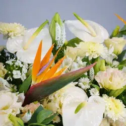 باکس گل B380 - Image 4