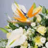 باکس گل شماره ۳۸۰
