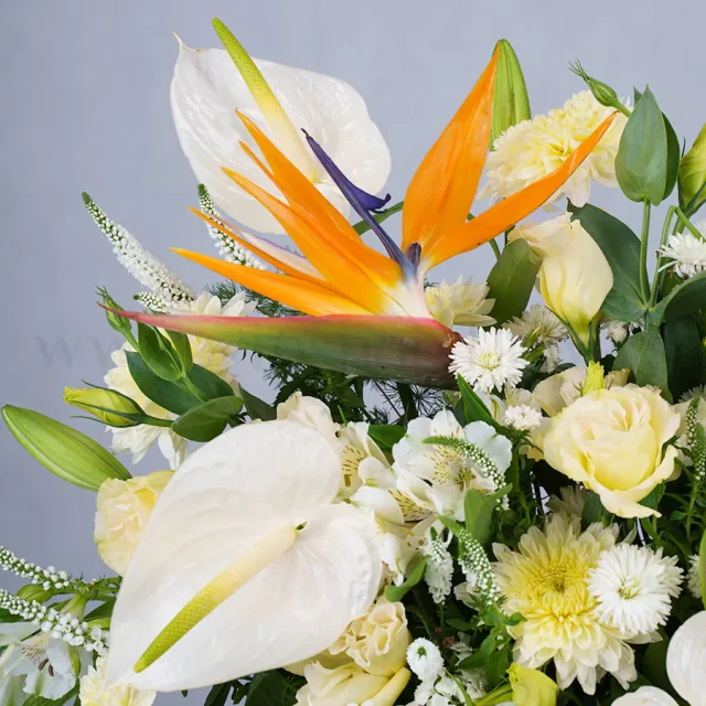 باکس گل شماره ۳۸۰