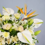 گلهای زیبای باکس گل