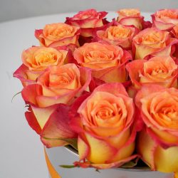 جزئیات گل های رز در کنار کدیگر ستودنی است.
