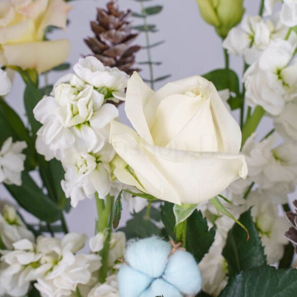 باکس گل B383 - Image 4