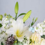 باکس گل B383 - Image 5