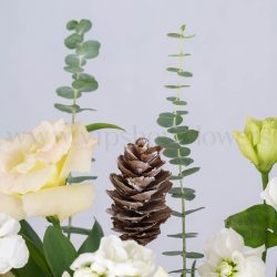 باکس گل B383 - 6