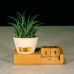 گلدان آپارتمانی تقویم دار بسیار زیباست.