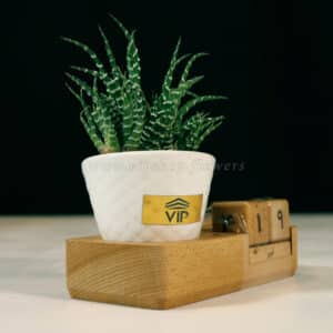 گلدان آپارتمانی تقویم دار برای روی میز مناسب است.