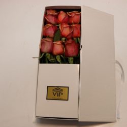 باکس گل B385 - 4