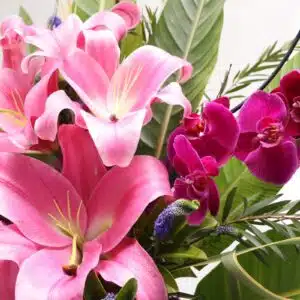 گل های باکس گل B388