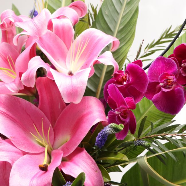 گل های باکس گل B388