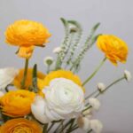 باکس گل B393 - Image 2