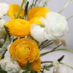 باکس گل B393 - Image 3