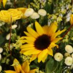 باکس گل B400 - Image 3