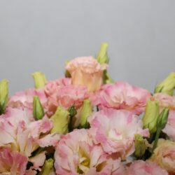 باکس گل B394 - 2