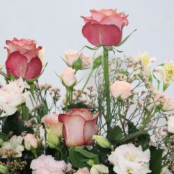 باکس گل B395 - 4