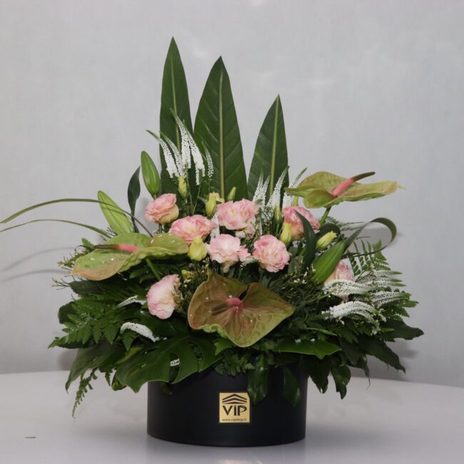 tarhim 66 pink