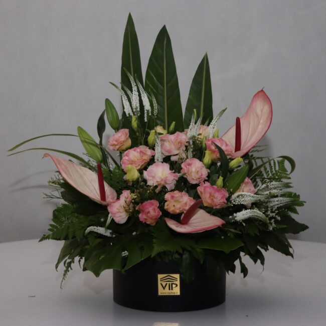 tarhim 66 pink 3