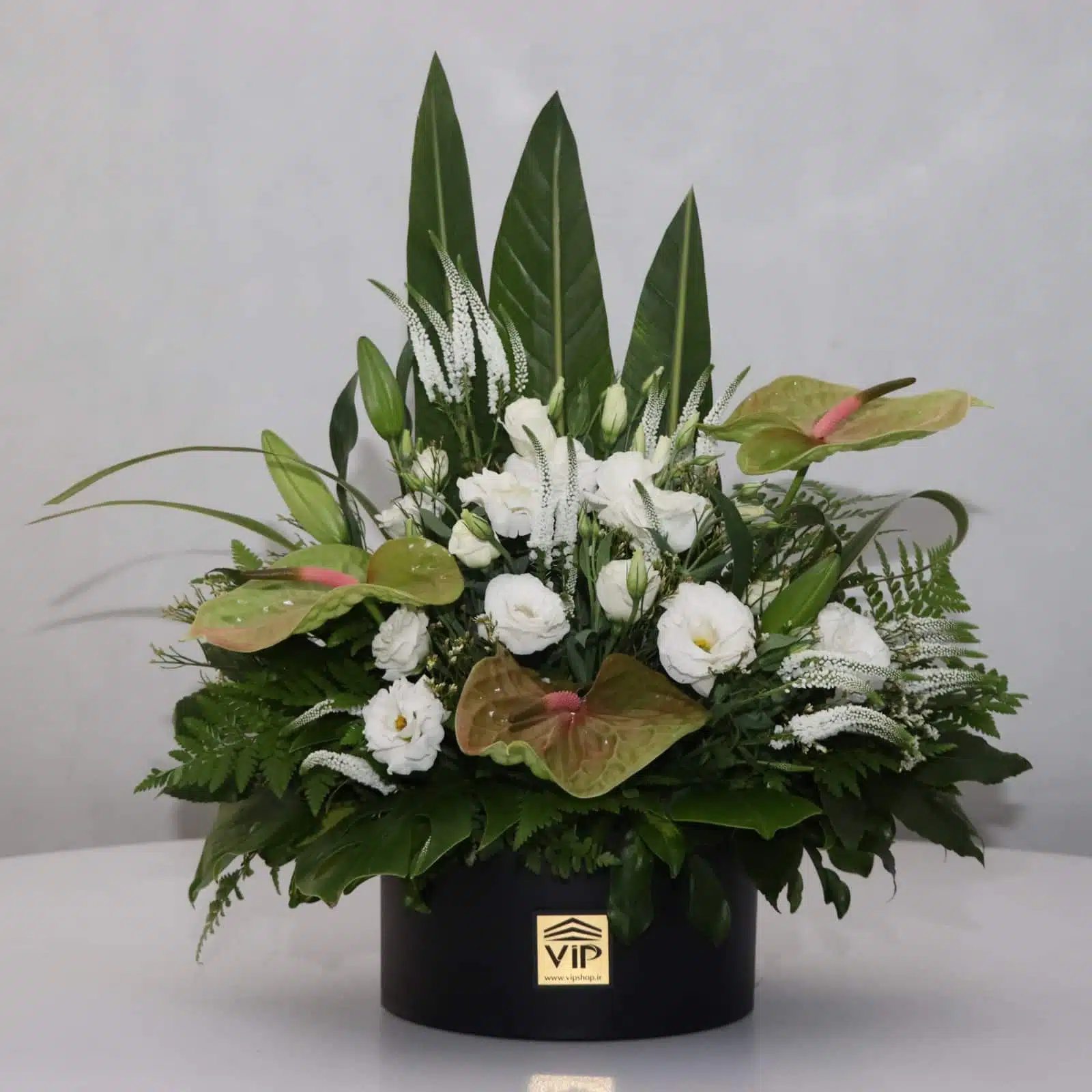 tarhim 66 white 1 گل ترحیم F66 - Image 1