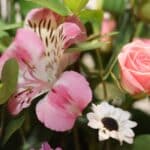 باکس گل ‌B415 - Image 3