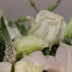 گل ‌ترحیم F72 - Image 3