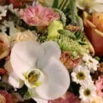 باکس گل B414 - Image 5