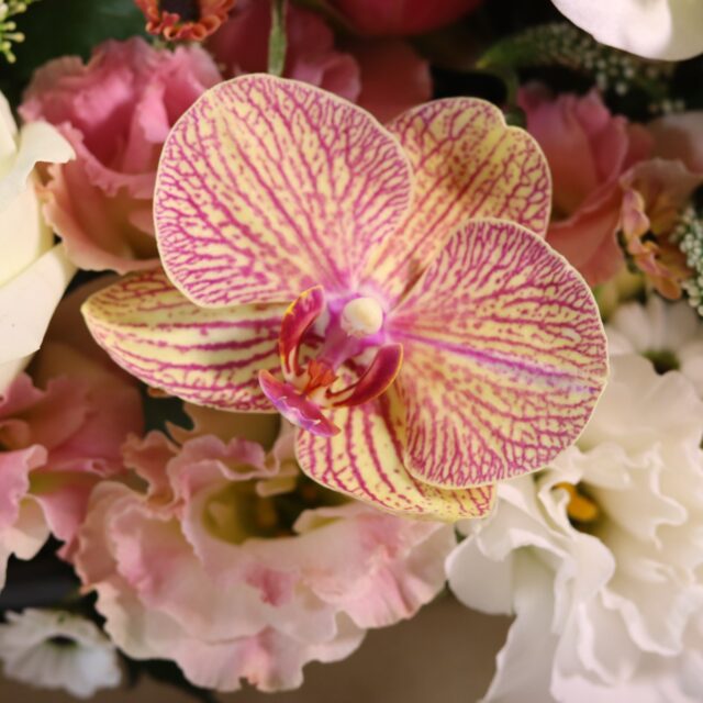 باکس گل B414 - Image 4