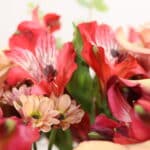 باکس گل ‌B416 - Image 4