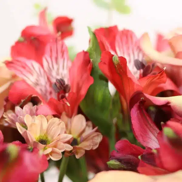 باکس گل ‌B416 - Image 4