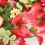 باکس گل ‌B417 - Image 2