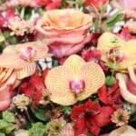 باکس گل ‌B417 - Image 4