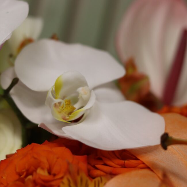 flower box no B408 2