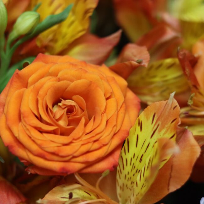 flower box no B408 4