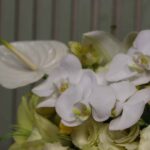 باکس گل ‌B408 - Image 3