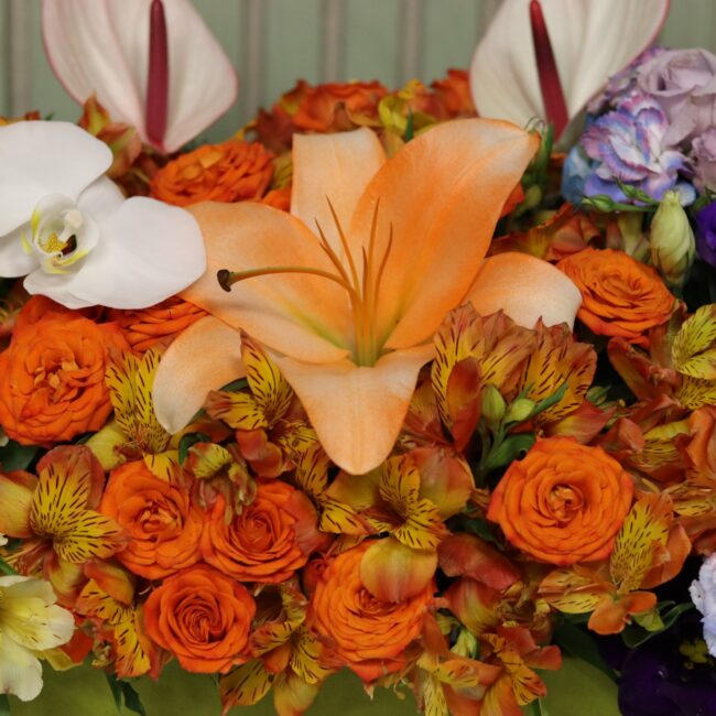flower box no B408 6