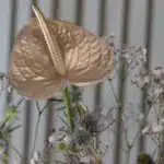 باکس گل B410 - Image 5