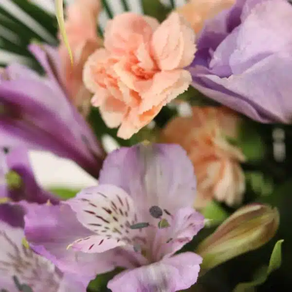 باکس گل B413 - Image 4