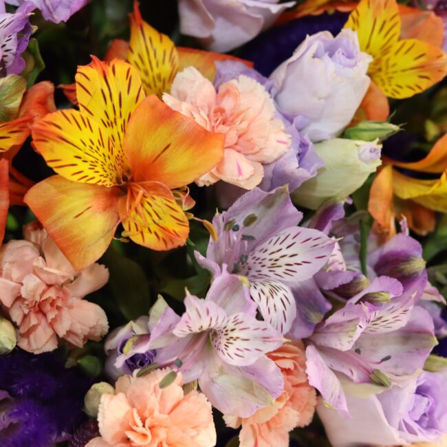flower box no B412 5