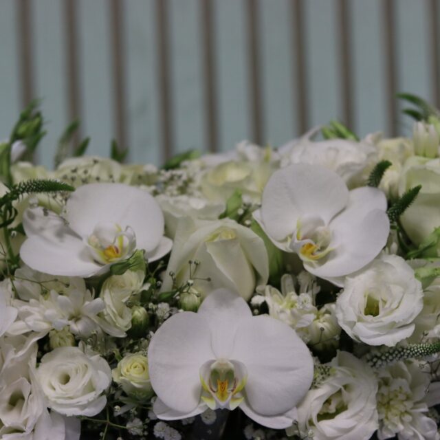 باکس گل B409 - Image 2