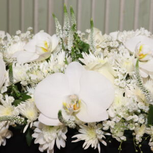 sympathy flower no F69 dawood 1 1